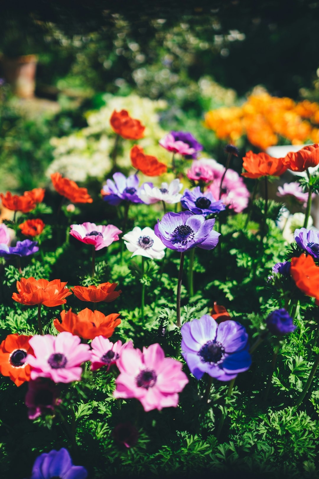 10 Tips to Be a Successful Lazy Gardener